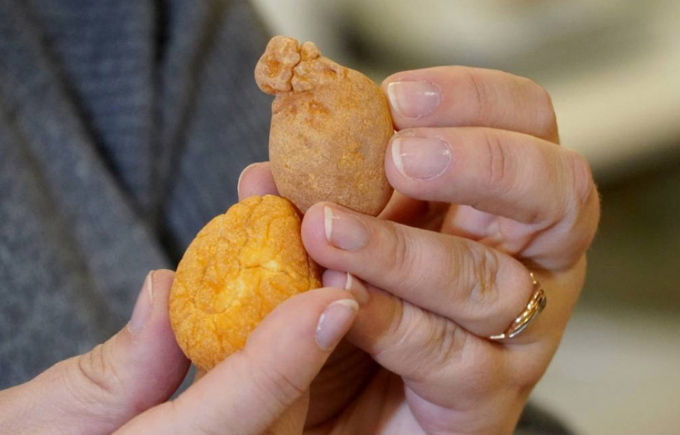 Янтарный комбинат выставит на аукцион рекордное количество лотов